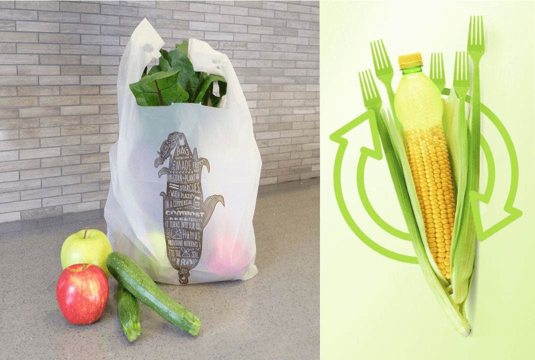 nhựa sinh học phân hủy